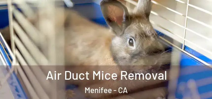  Air Duct Mice Removal Menifee - CA