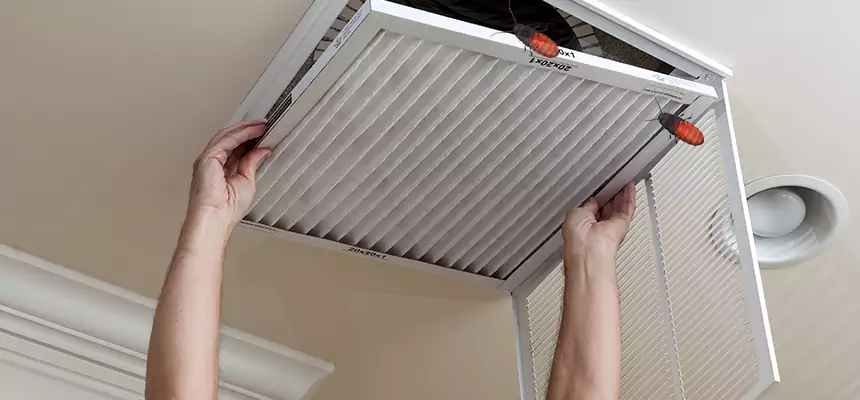 Preventive Cockroach-Proofing for Ducts in Menifee