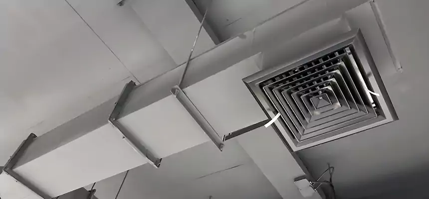 Our Rodent Droppings In Vents Services in Menifee, CA