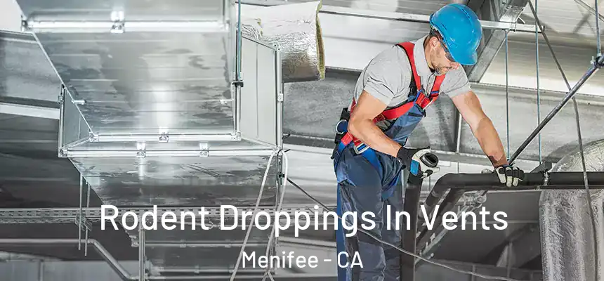  Rodent Droppings In Vents Menifee - CA