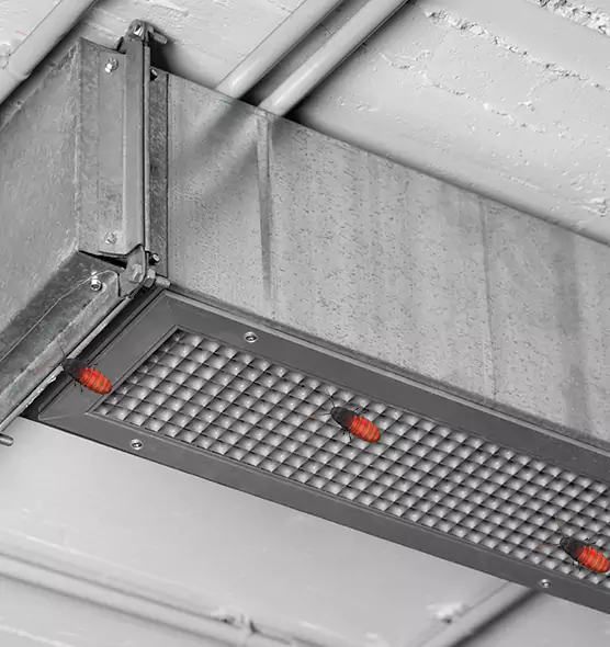 About Air Duct Cockroach Removal in Menifee, CA
