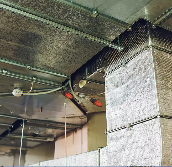 Why Homeowners & Businesses Trust Us in Menifee, CA?