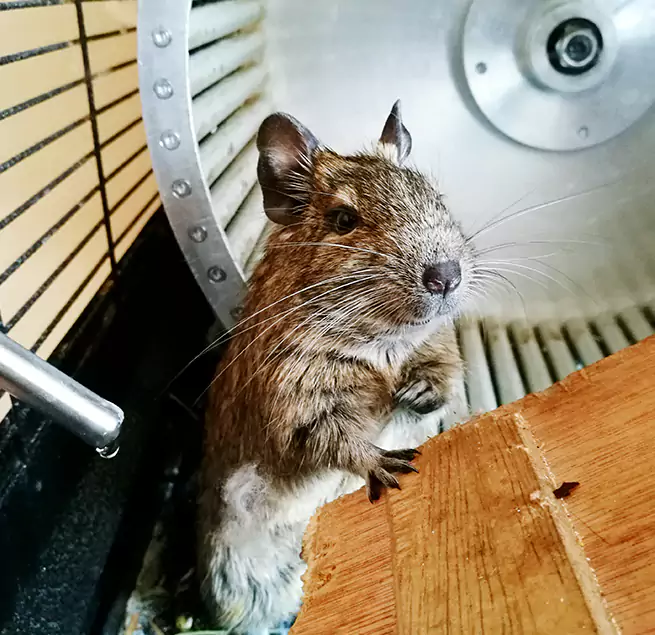 Why Homeowners & Businesses Trust Us Menifee, CA