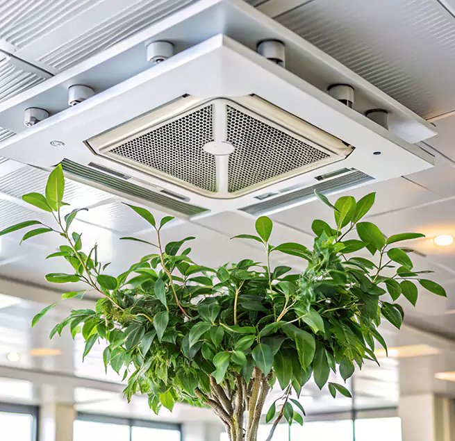 Why Homeowners & Businesses Trust Us in Menifee, CA